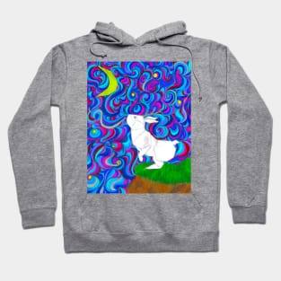 The Jackalope's Fantasy Hoodie